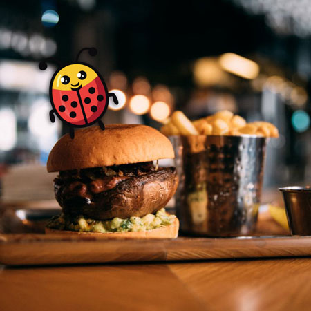 Nyckelpigan hittar mat på Gatufesten